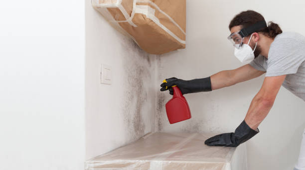 Professional Bathroom Mold Removal technician working in Apex, NC