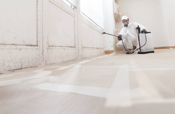 24/7 Emergency Bathroom Mold Removal experts in Apex, NC