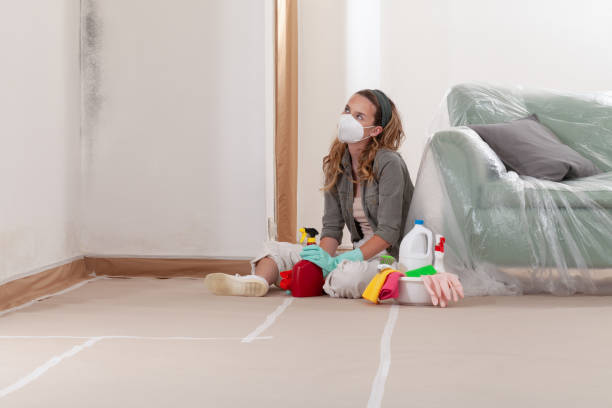 Trusted Mold Inspection service in Apex, NC - Cheap Mold Removal
